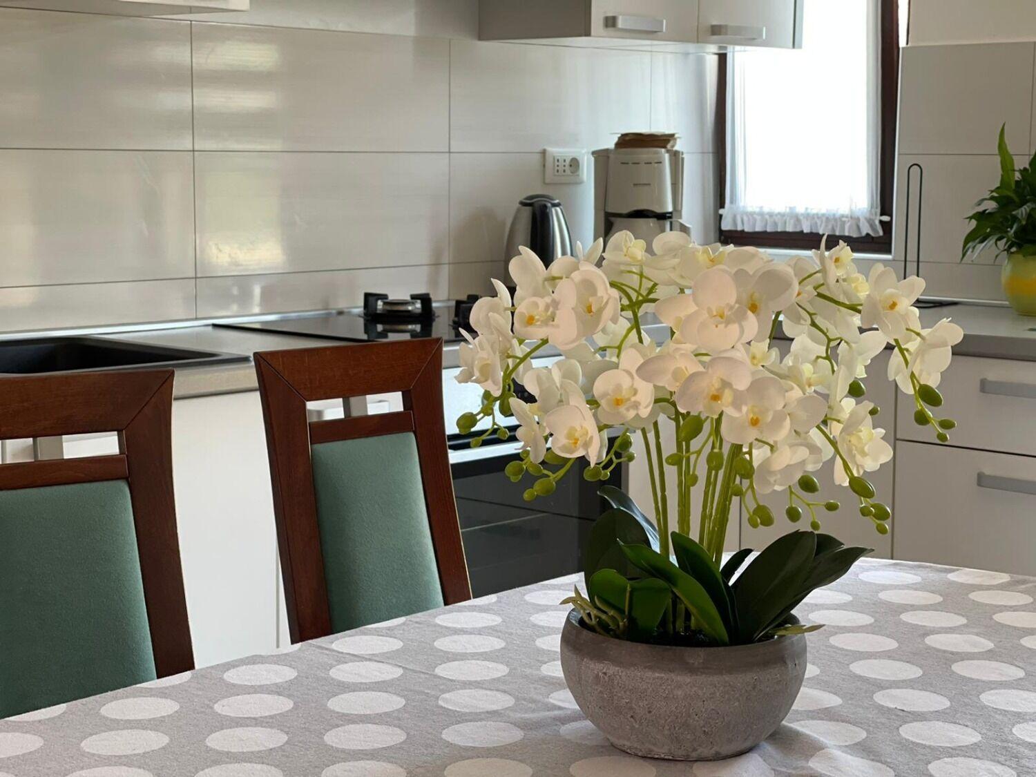 Apartment Bilja Rogoznica  Buitenkant foto